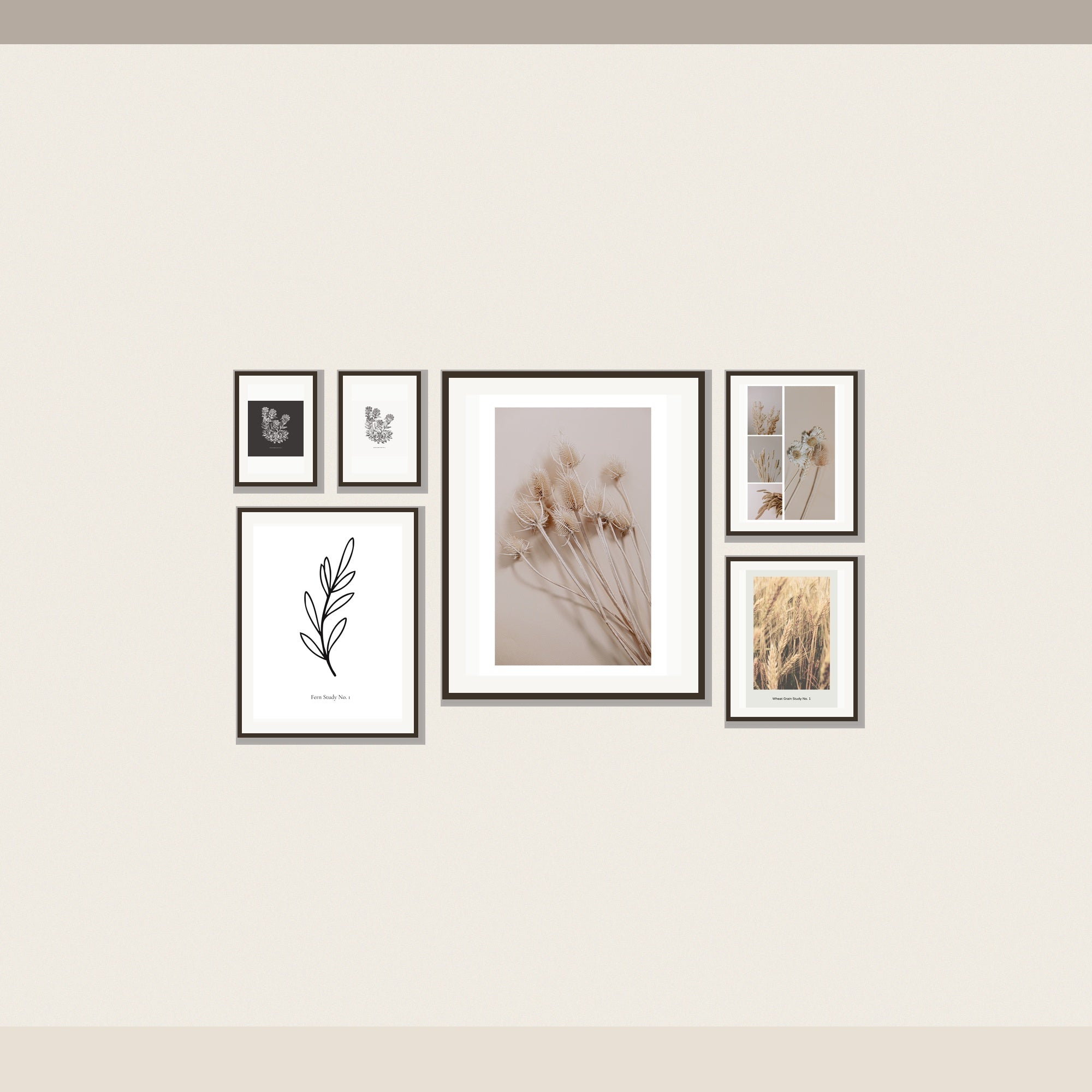 Gallery Wall Set No. 1 — 6 Botanical Prints, Instant Digital Download