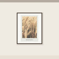 Wheat Grain Study No. 1