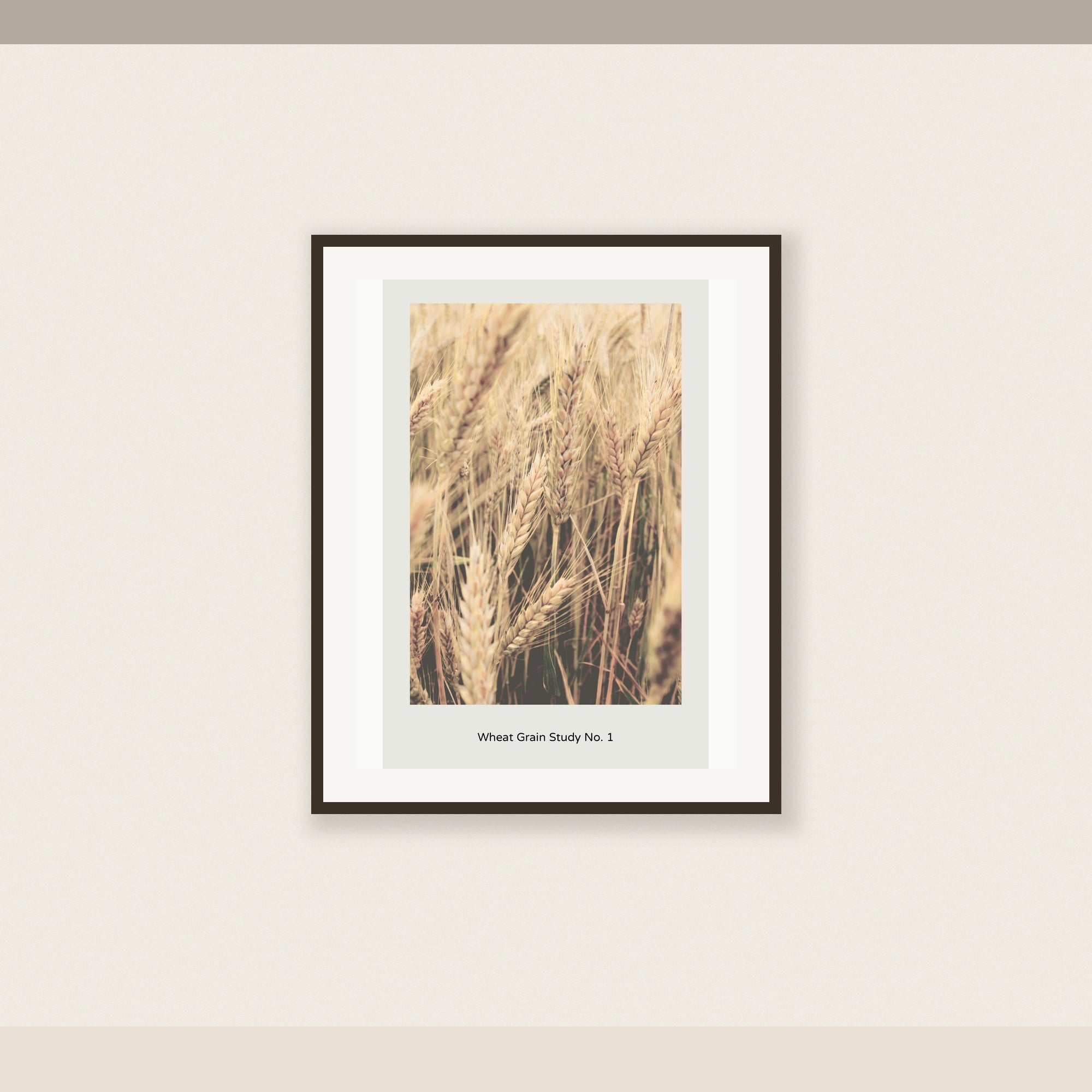 Wheat Grain Study No. 1