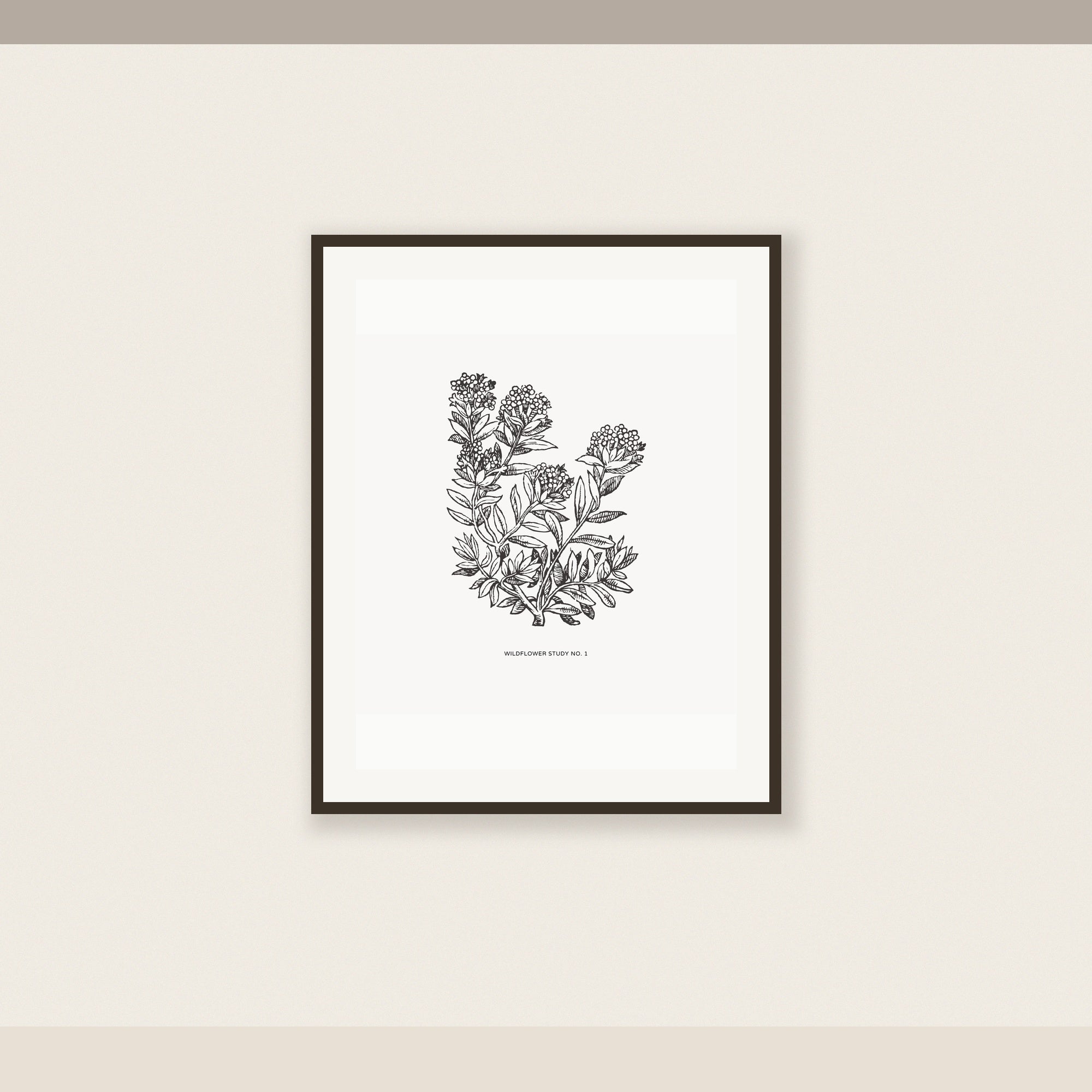 Wildflower Study No. 1