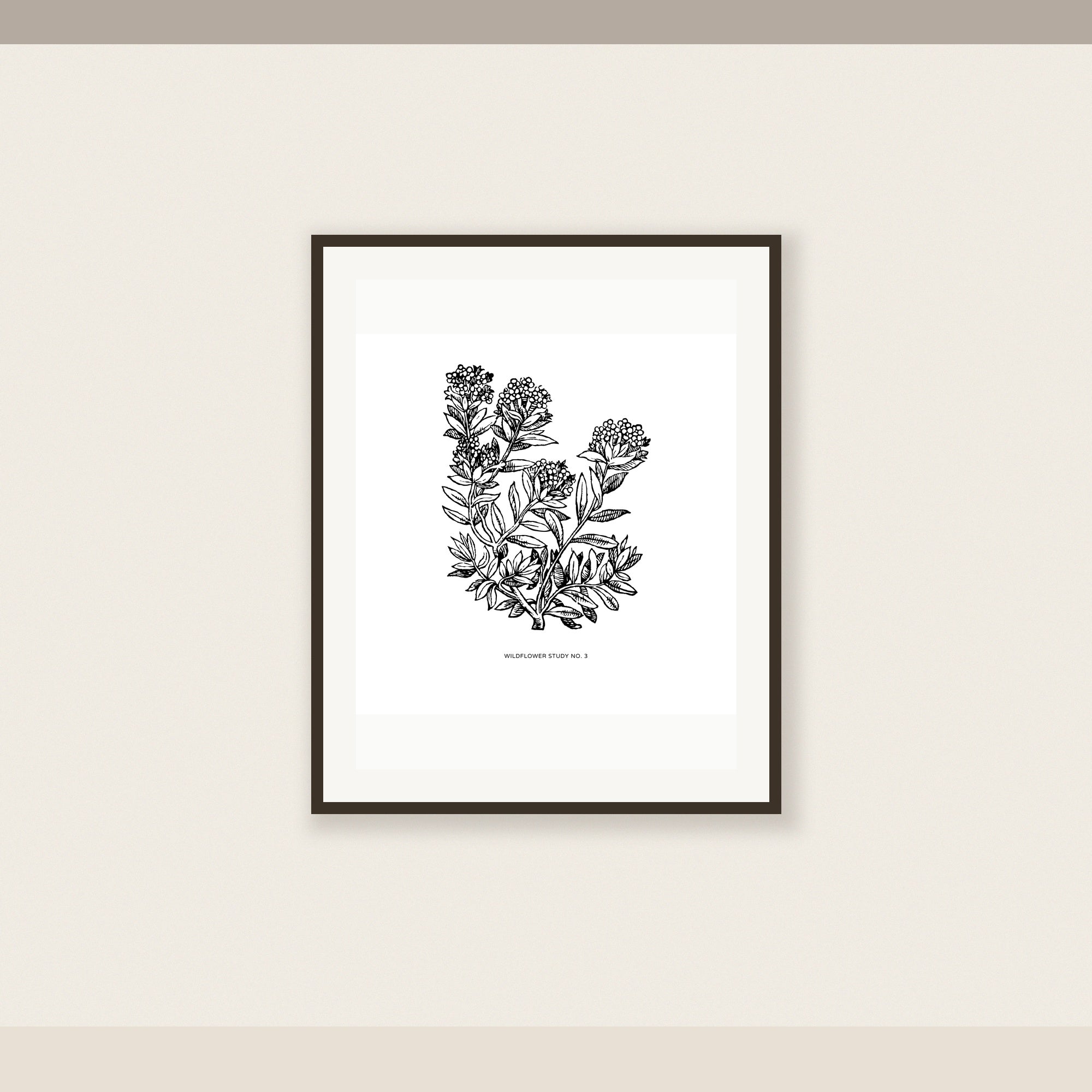 Wildflower Study No. 3